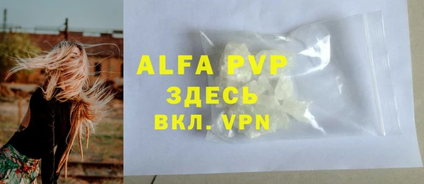 крисы Алзамай