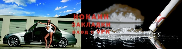 крисы Алзамай